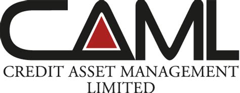 Toradh íomhá ar CAML Programming Logo Icon