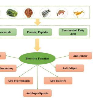 Image result for Biologic Function Examples
