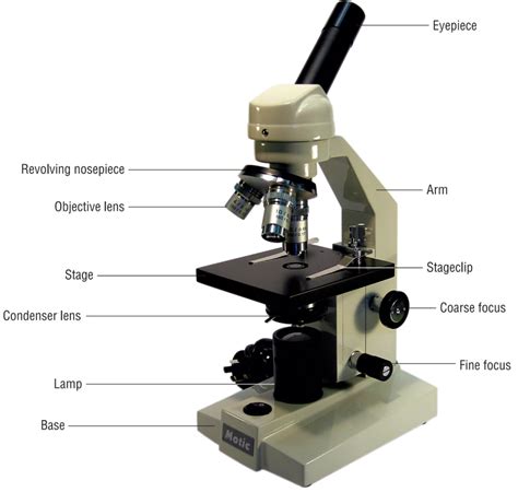 تصویر کا نتیجہ برائے Science Classification Challenege
