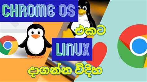 Image result for Linux Operating System Sinhala