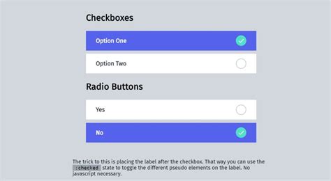 Image result for Custom-Color Checkbox CSS