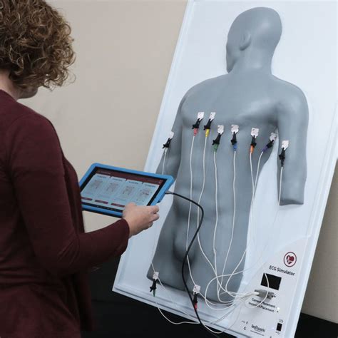 ECG Simulator に対する画像結果