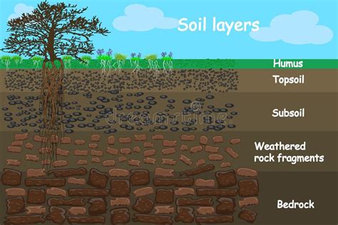 Humus Soil Diagram に対する画像結果