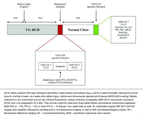 Image result for Experimental Study Design Examples