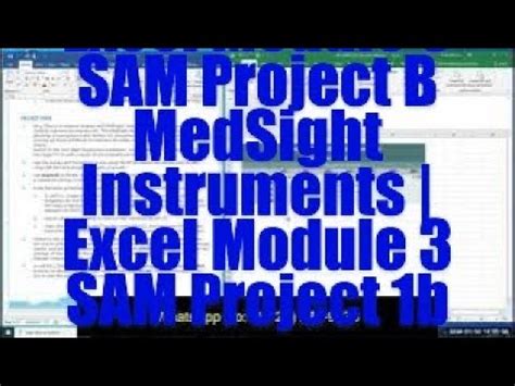 Image result for Excel Module 3 Sam Project B