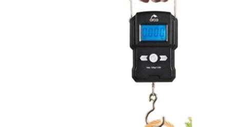 Image result for Orca On Scale