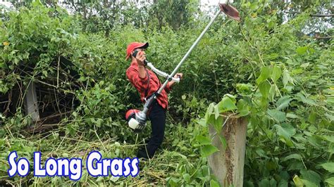 Image result for Tall Grass Cutter