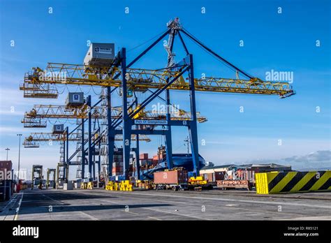 Image result for Container Stock Unloading