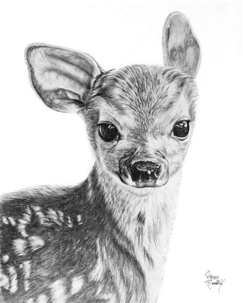 Image result for Baby Fawn Drawing