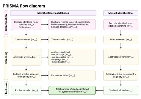Image result for Flowchart Voorbeeld Systematic Review