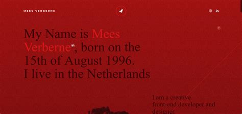 Image result for WordPress Developer Portfolio Examples