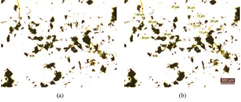 Image result for Particle Size Microscope