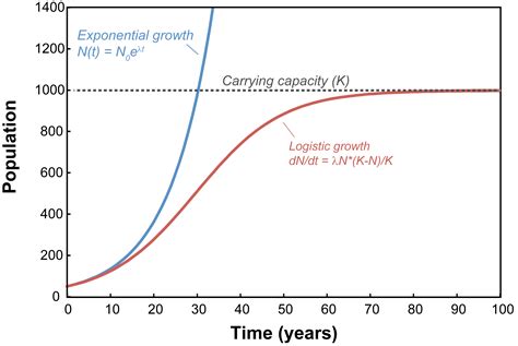 Exponential Growth Graph に対する画像結果