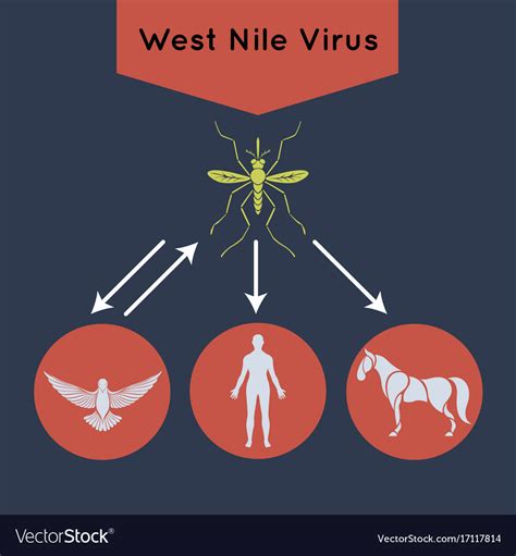 Toradh íomhá ar West Nile Virus Icon