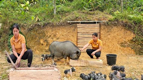 How to Make Pig Trough に対する画像結果