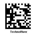 Image result for Scanlan Data Matrix Barcode