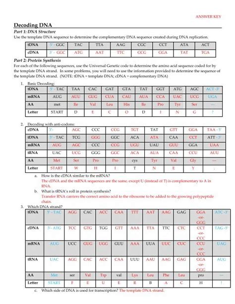 Toradh íomhá ar Decoding DNA Worksheet