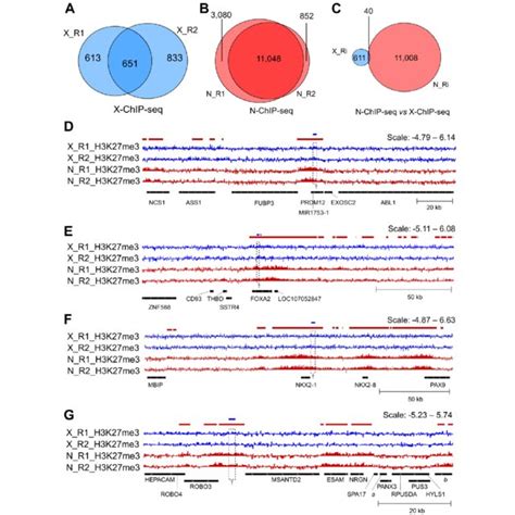 Image result for Native ChIP-seq