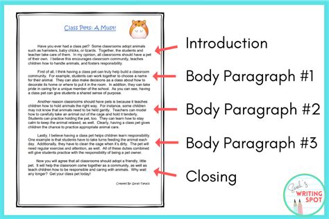 Résultat d’images pour 3 Paragraph Essay Example