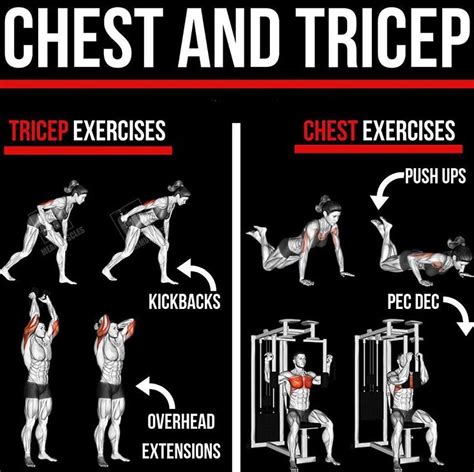 Image result for EOS Chest and Tricep Workouts