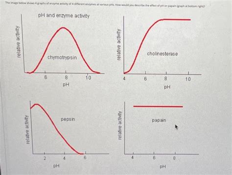 Toradh íomhá ar Specific Activity Graph