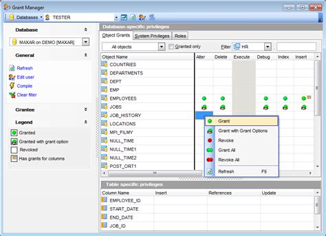 Toradh íomhá ar SQL Manager Oracle