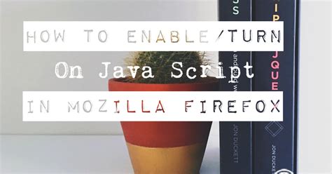 Image result for How Do I Turn On Java Scrip