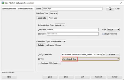 Image result for How to Connect with Existing Connection Oracle SQL Developer