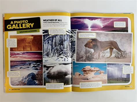 Image result for Text Features Book