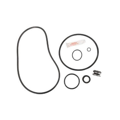 Image result for Sta-Rite Maxi Pro