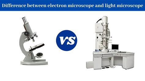 Toradh íomhá ar Light Microscope vs Electron Microscope