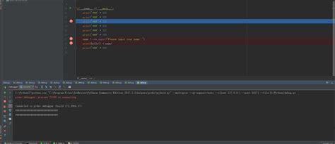 PyCharm Debug Array に対する画像結果