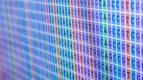 Image result for Dynamic Programming in Bioinformatics