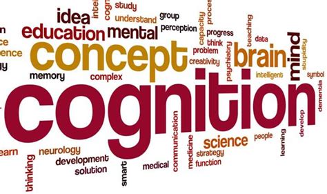 Image result for Visual Cognition Examples