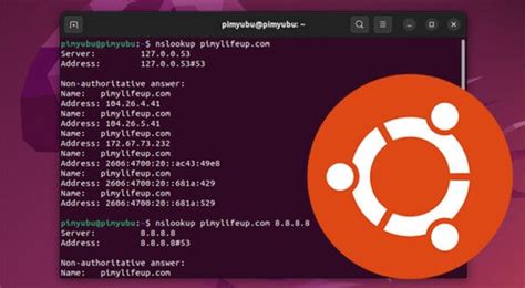 Image result for Network IP-Lookup Command Ubuntu
