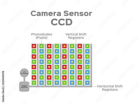 CCD/CMOS Camera に対する画像結果