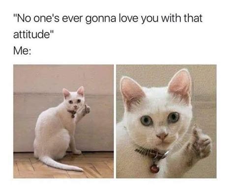 Toradh íomhá ar Text Memes Clean