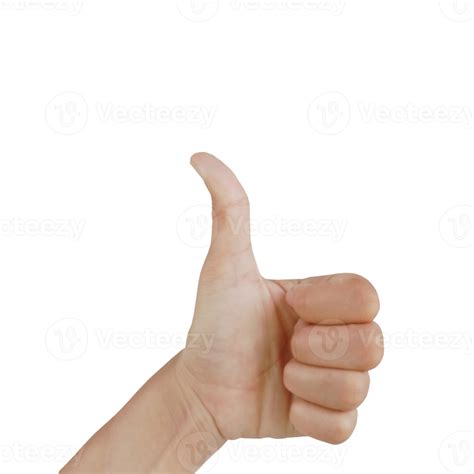 Left Array photo.PNG に対する画像結果