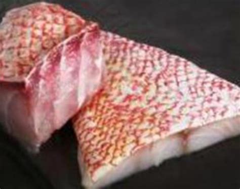 Image result for Roto Snapper