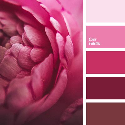 Image result for Raspberry Color Palette