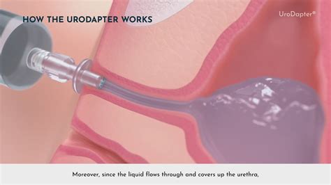 Image result for Ghost First Live Concert