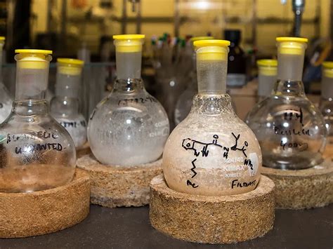 Medicinal Chemist に対する画像結果