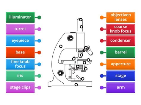 Image result for Different Lens On a Microscope Labeled