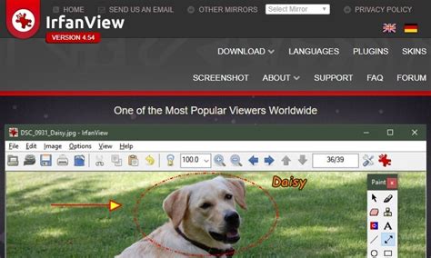 File Dcem に対する画像結果