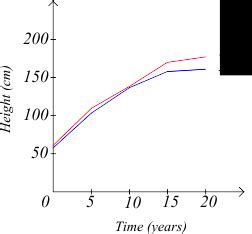 Linear Scale Graph に対する画像結果