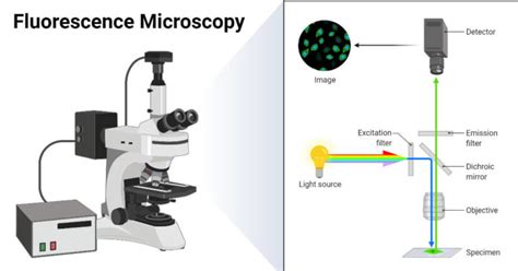 Light Microscope Particle Characterization に対する画像結果