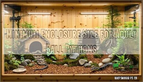 Image result for Snake Ball Python Enclosure