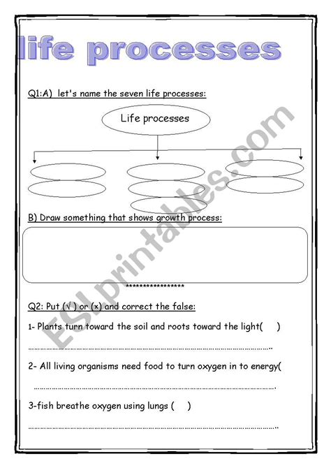 Image result for 7 Life Processes Worksheet