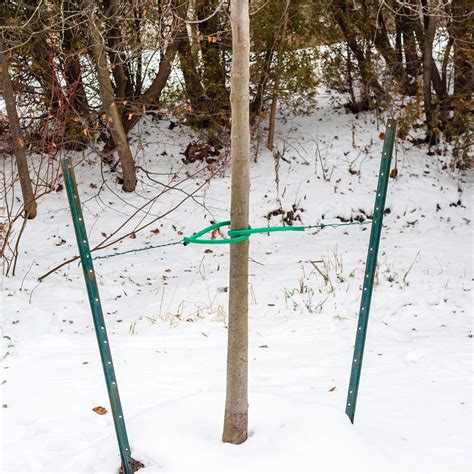 Image result for Tree Bracing Equipment