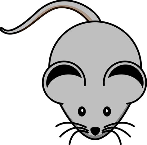 Lab Mouse PNG に対する画像結果